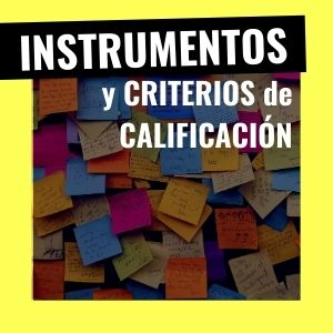 instrumentos de calificación y criterios de calificación